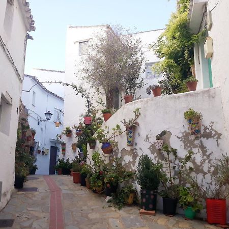 Beautiful Apartment In Duquesa Suites And Gardens Castillo de Sabinillas 外观 照片